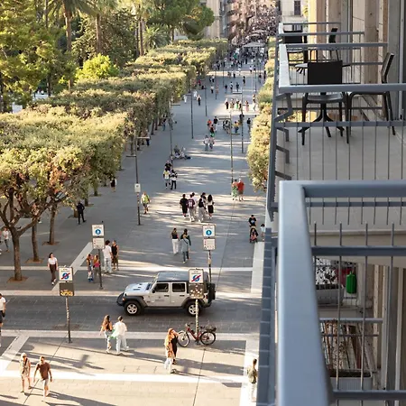 Camìra Apulian Affittacamere